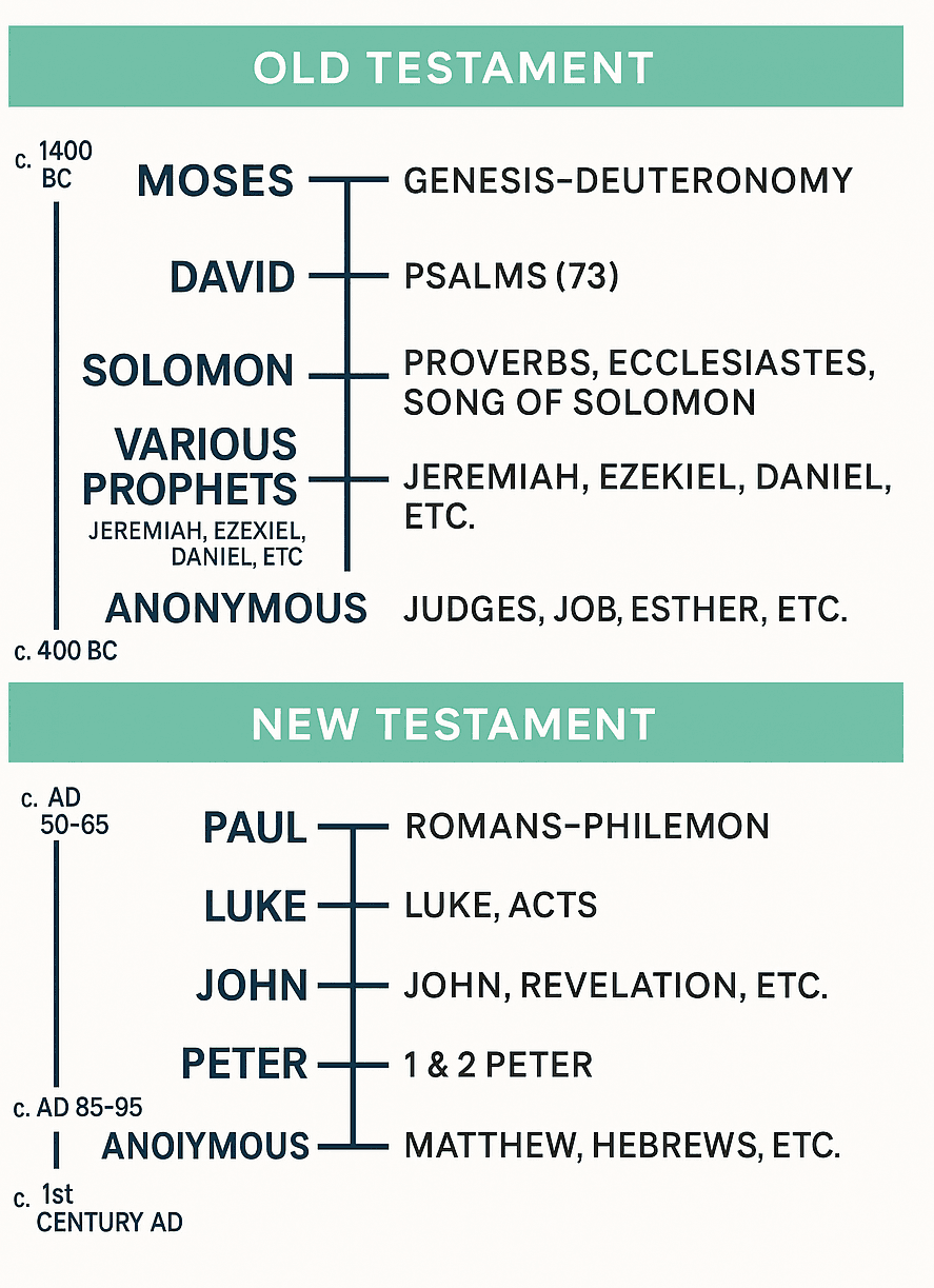Who Wrote the Word — Old and New Testament author chart by Trish's Tried and True